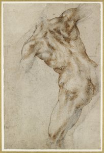 Nude Male Torso